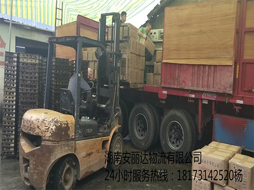 &#31859;&#20848;&#23448;&#26041;&#32593;&#39029;&#29256;&#45;&#31859;&#20848;&#40;&#20013;&#22269;&#41;